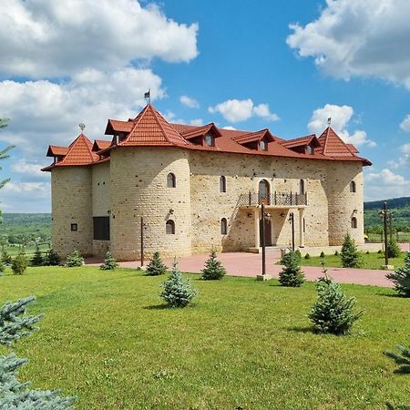Castel Unghern Ivancea 외부 사진