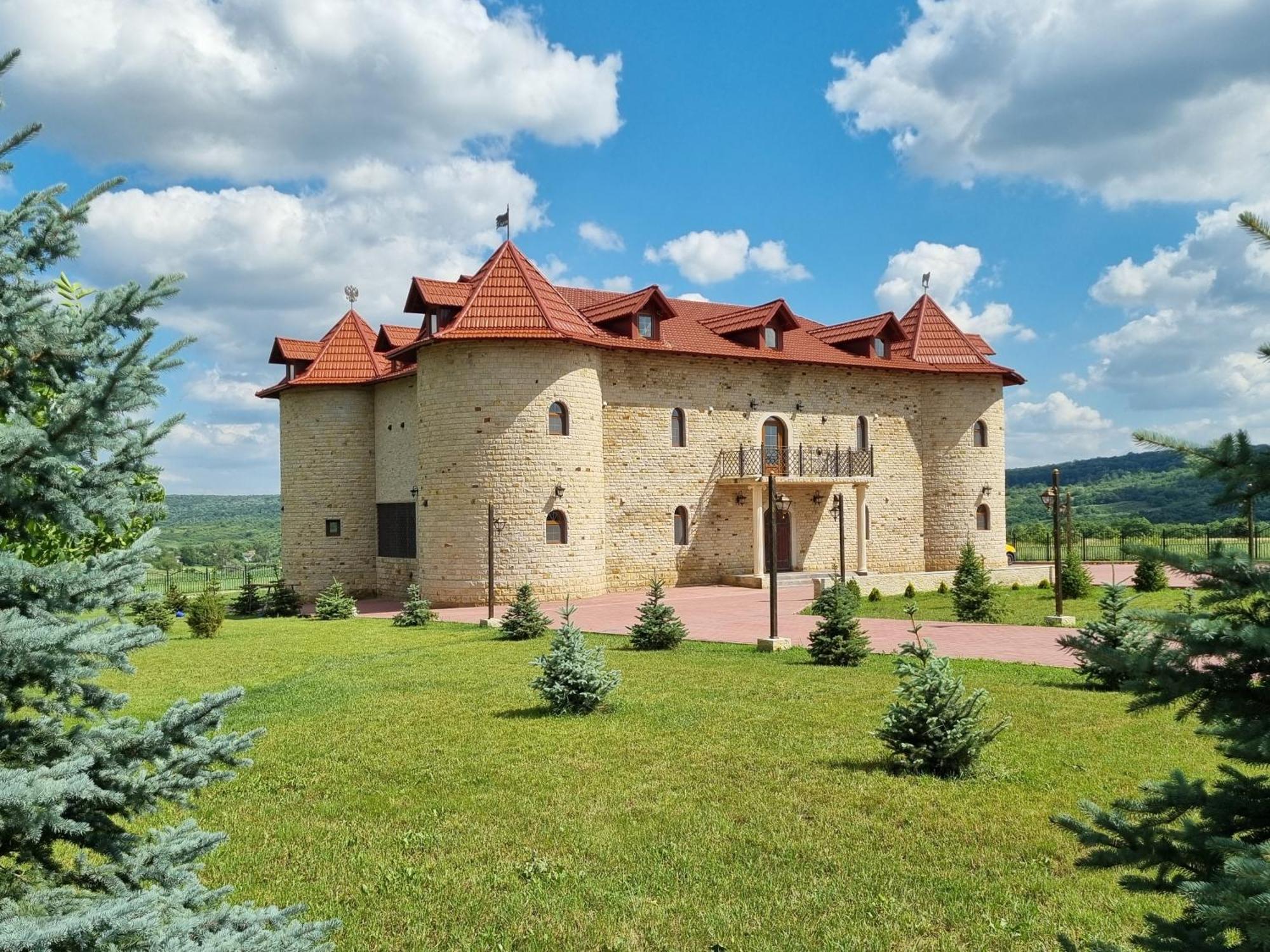 Castel Unghern Ivancea 외부 사진