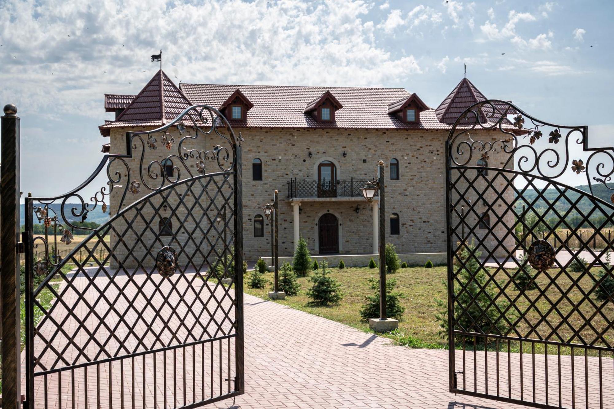 Castel Unghern Ivancea 외부 사진